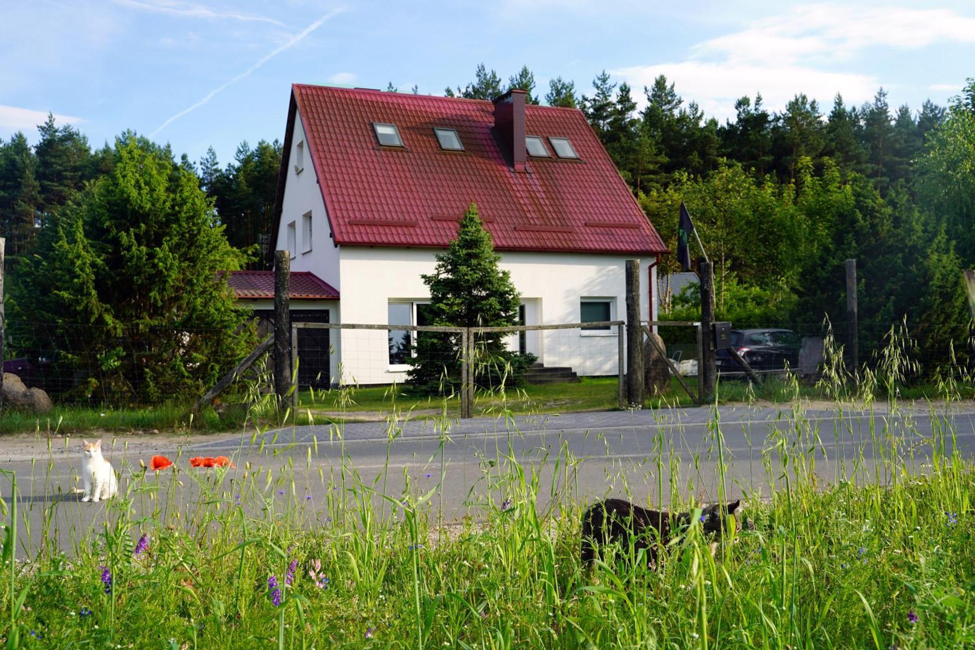 Ferienwohnung Lesna Kryjowka Trzebciny Exterior foto